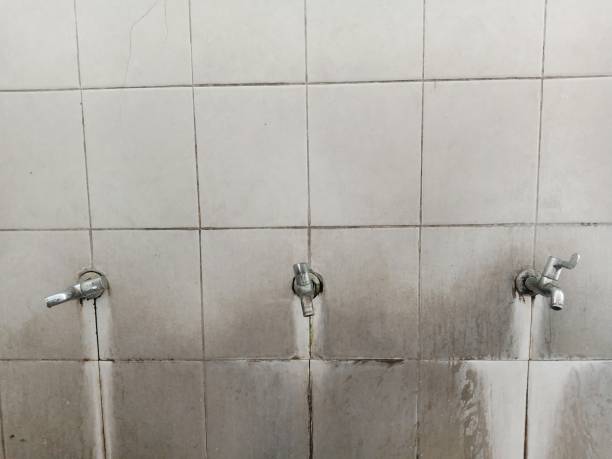 Best Water damage mitigation services  in Burton, SC