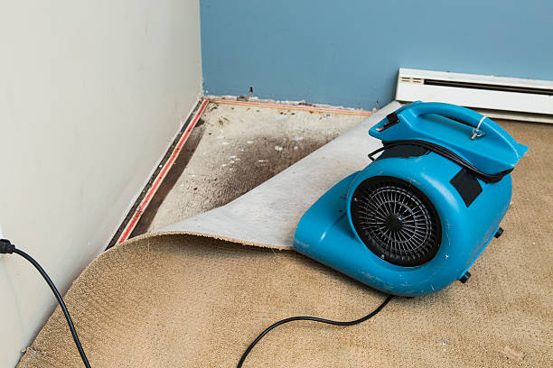 Best Water damage restoration near me  in Burton, SC